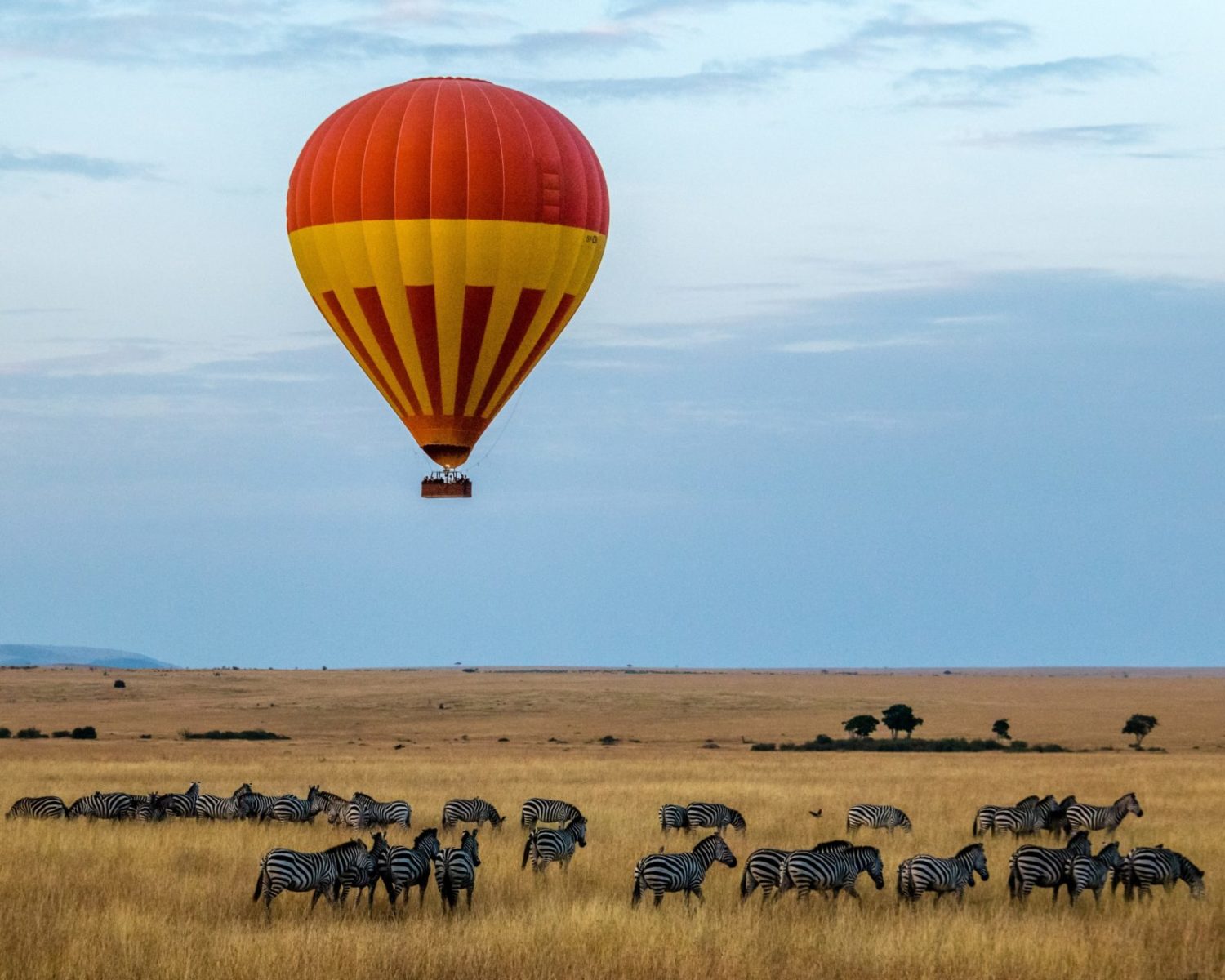 Hot Air Balloon, Maasai Mara, Kenya