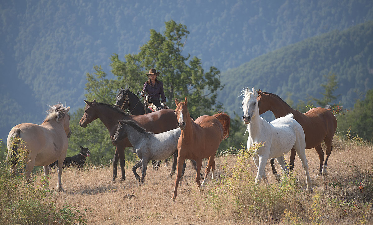 Chile - Horseback Riding At Andbeyond Vira Vira Lake District
