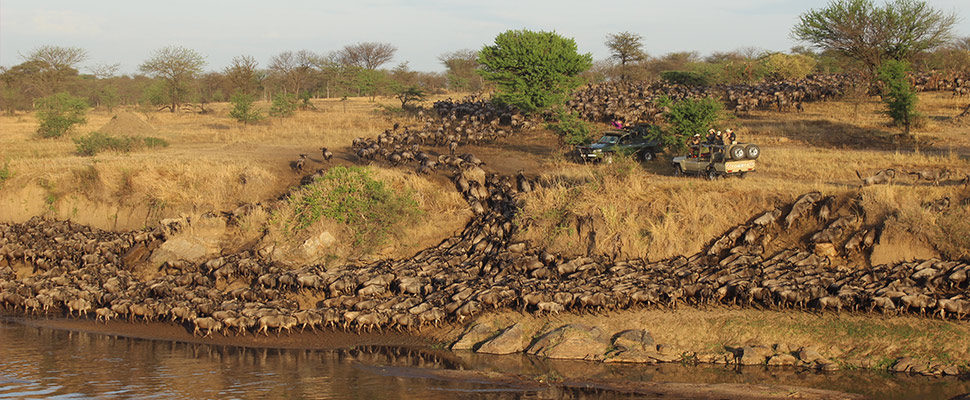 Serengeti2