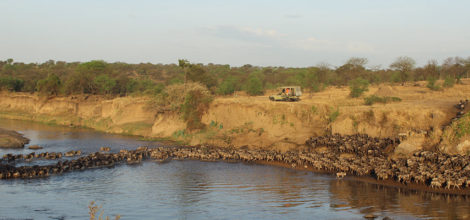 Serengeti4