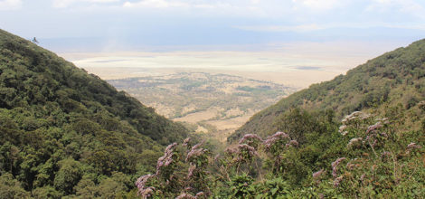 Ngorongoro Crater Lodge11